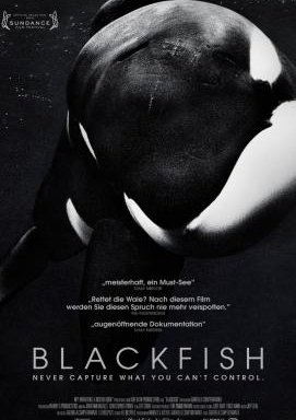 Blackfish