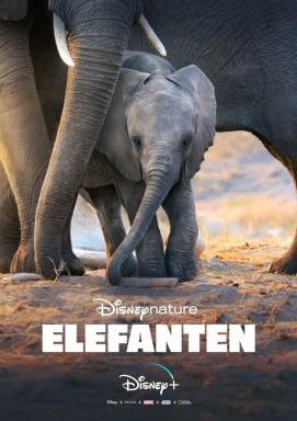 Elefanten