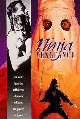 Ninja Vengeance